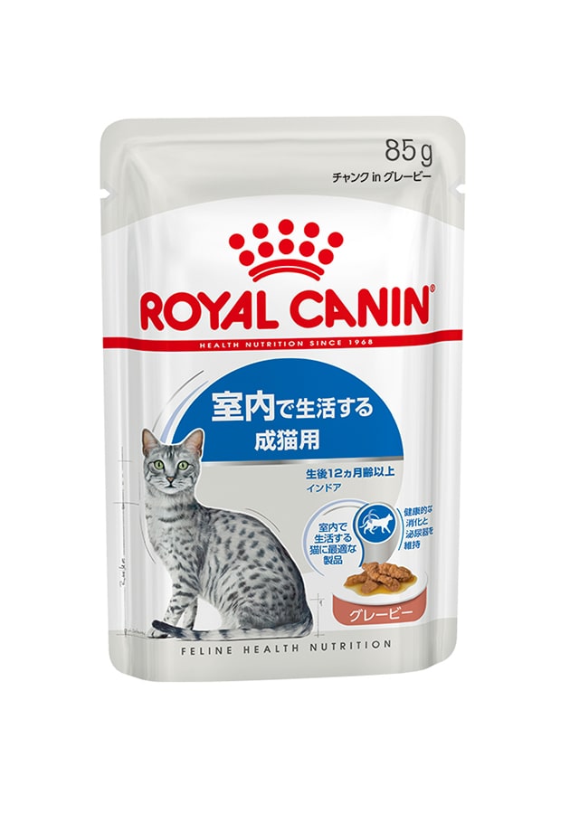 ご飯を食べない猫にオススメのキャットフードはロイヤルカナン